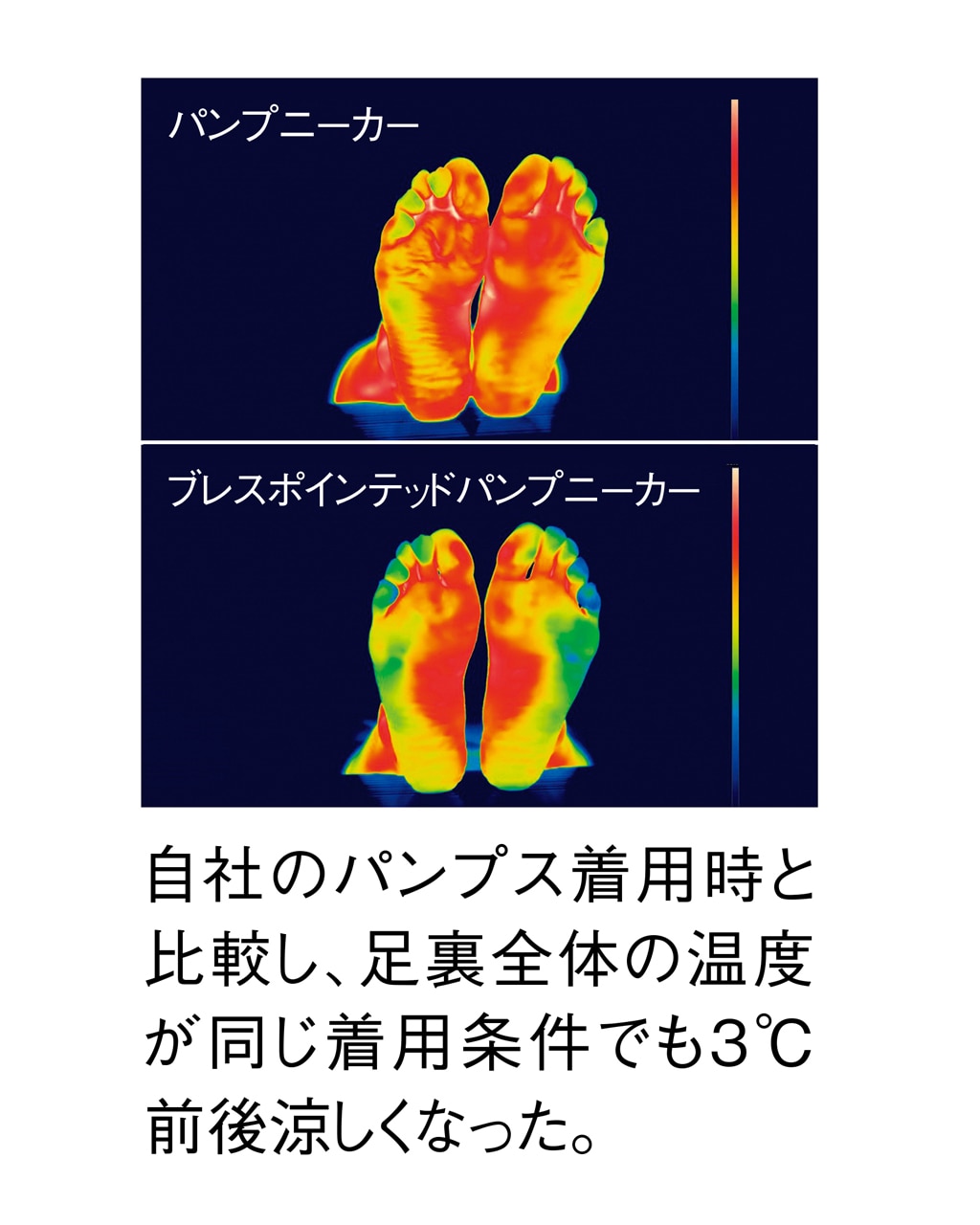 ブレスカットワークパンプニーカー 詳細画像 シャンパン 9